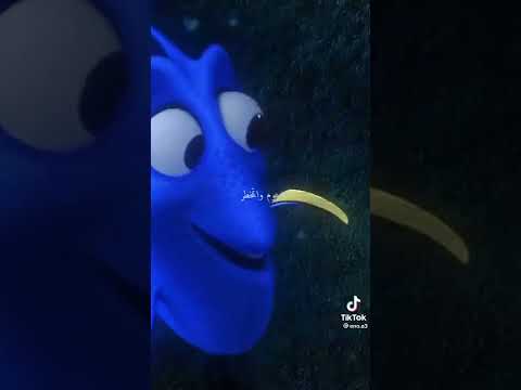 نيمو ودوري عوم واتمخطر مخطر مخطر نيمو 