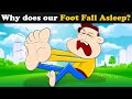 Why does our Foot Fall Asleep?   more videos | #aumsum #kids #science #education #whatif