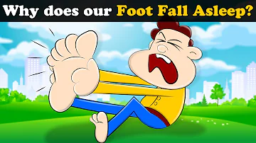 Why does our Foot Fall Asleep? + more videos | #aumsum #kids #science #education #whatif