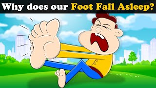 Why does our Foot Fall Asleep?   more videos | #aumsum #kids #science #education #whatif