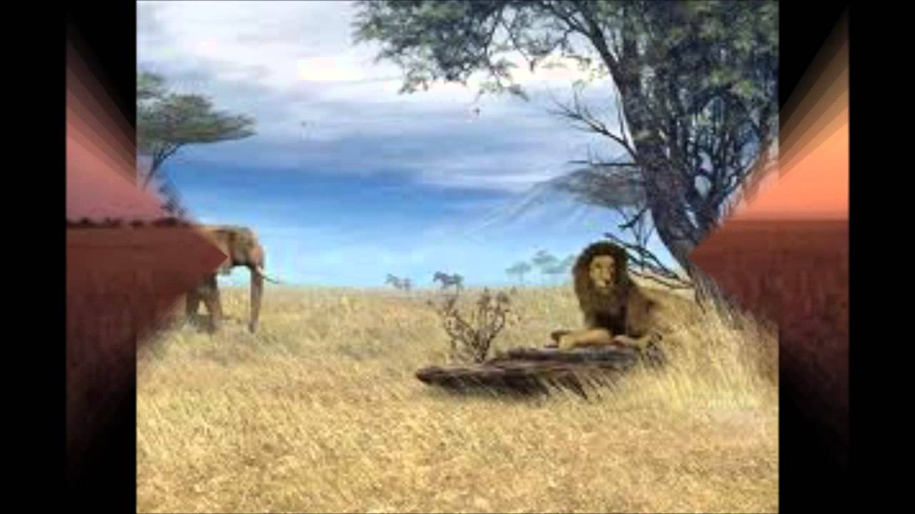 margaret singana we are growing mp3