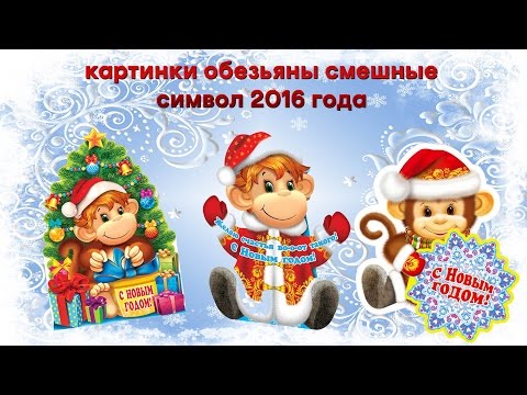 Картинки смешные обезьяны символ 2016 года Смотреть