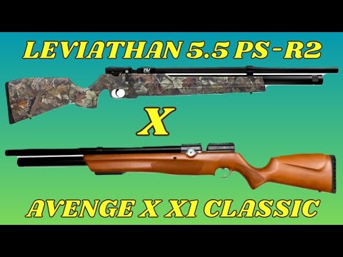 Leviathan PS R2 vs Avenge X X1: Which is better?