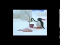 il pinguino pingu f musica!