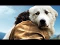 Belle et sebastien 2  laventure continue  bande annonce 2015