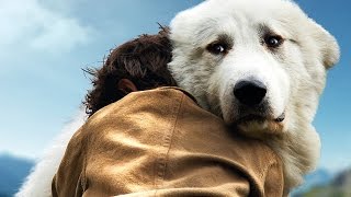 Montpellier On A Rencontre Garfield Le Chien Du Film Belle Et Sebastien