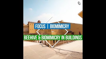 Beehive Architecture & Biomimicry in Buildings!