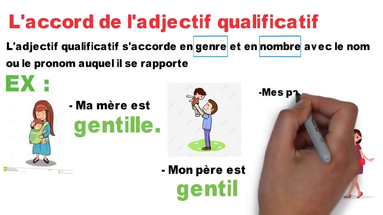 L' ADJECTIF QUALIFICATIF : L' accord et ses fonctions - YouTube