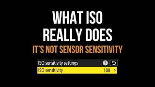 ISO Doesn't Make Your Sensor More Sensitive