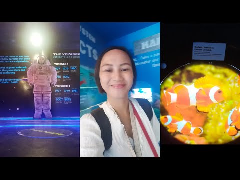 ASTRONAUT, THE BIG BANG THEORY, and MORE | Science Centrum