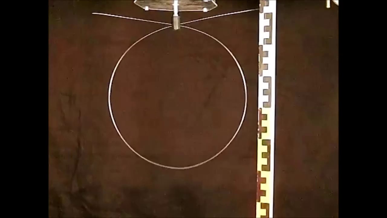 Resonante Schwingung eines Federstahldrahts 300/600fps