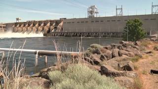 Columbia River System Operations EIS