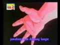Indonesian Dbz Opening Avi 