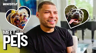 Tyrann Mathieu On How His Dogs Saved Him During Brutal ACL Injury