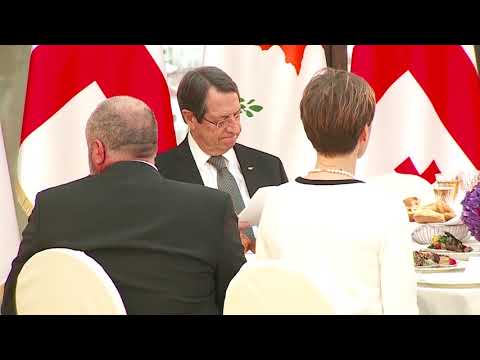 კვიპროსის პრეზიდენტის პატივსაცემად, საქართველოს პრეზიდენტის სახელით ოფიციალური ვახშამი გაიმართა