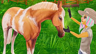 New Equestrian Horse Festival Star Stable Online Update