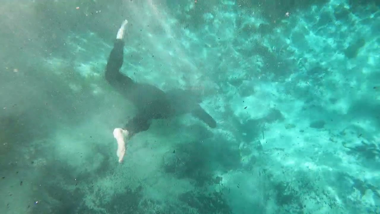 Manatee Tour  -- Crystal Springs Florida - Plantation Adventure Center