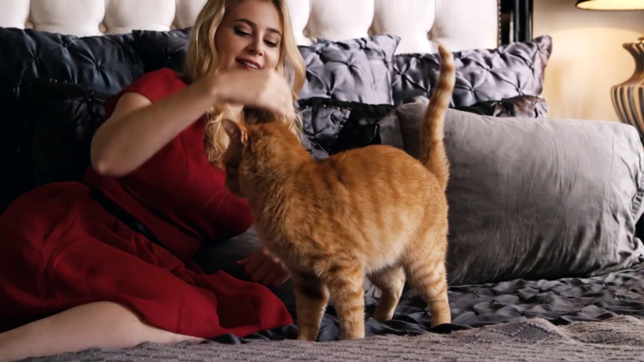 Pretty Litter YouTube