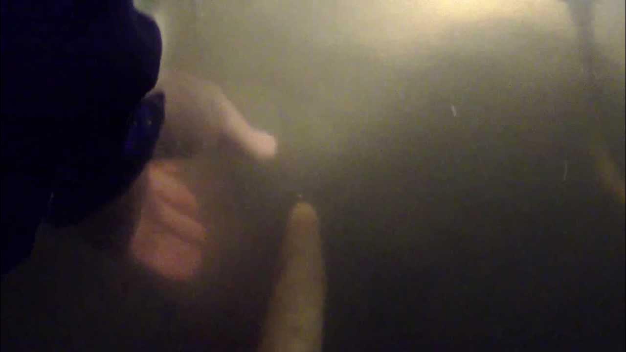 Flounder Spearing Orewa River Mouth, Auckland YouTube