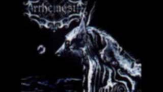 Arthemesia - Universal Black