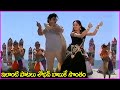 ఇలాంటి పాటలు శోభన్ బాబుకే సొంతం - Sobhan Babu, Vijayashanti Superhit Movie Song | Evergreen Songs