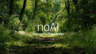 Living Spring Forest | Birdsong, Wind & Woodland Sounds for Sleep & Relaxation