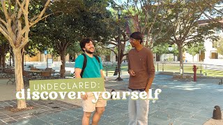 Academic Concentrations at Soka: Undeclared