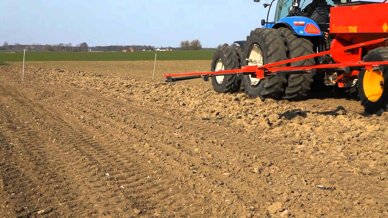 Blommande kantzoner 2016 10 02