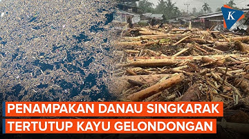 Gara-gara Banjir Sumbar, Danau Singkarak Tertutup Kayu Gelondongan