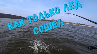 Когда клюет судак? Как только лед сошел.