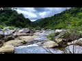 Deep Healing Night Piano with Birds and Stream | Calm the Heart and Release Emotional Pain