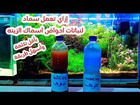 سماد لنباتات احواض اسماك الزينه بأقل تكلفة