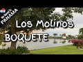 Los Molinos In Boquete, Chiriqui, Panama. Retire in Panama