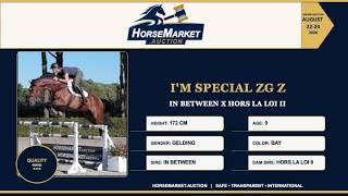 I'M SPECIAL IN THE HORSEMARKET.AUCTION WEEK 35 UNDER THE SADDLE BIDDING AUGUST 22 TO AUGUST 24