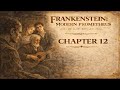 Mary Shelley Frankenstein Chapter 12 | Creature's Kindness Narration