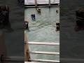 devipattinam Navagraha temple/temple travel part 2/#devotional #temple #travel