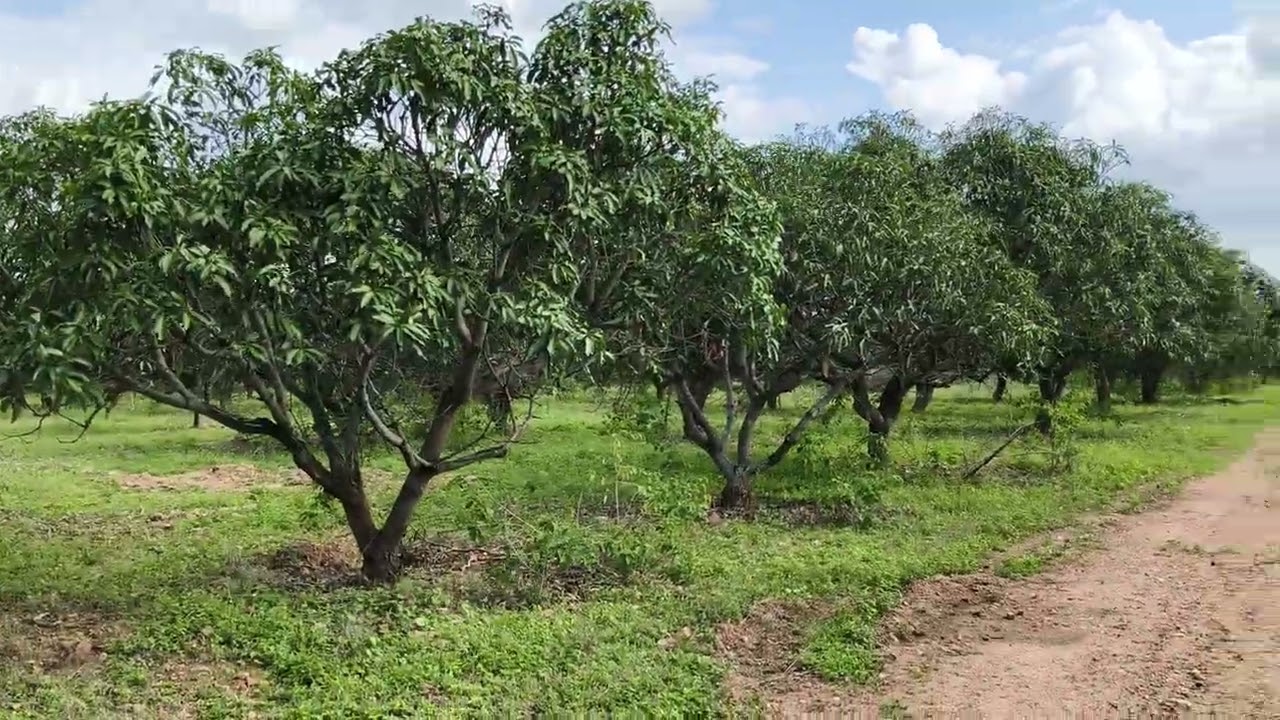 16 acres farm land for sale 7338197726