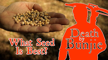 How to Choose the Right Seeds for Your Foodplot