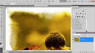 Painted border effect with Photoshop RAW