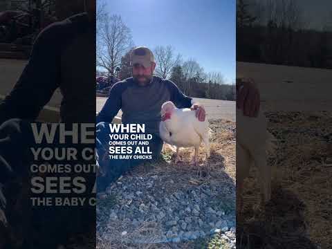 Henrietta Stayin Alive Stayin Alive 