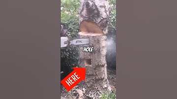 This Tiny Hole Saves Countless Lives