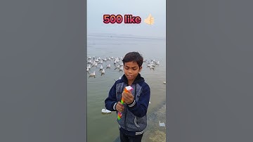 make a duck in (snake cube) #kingofcubers #speedcubing #india #shorts