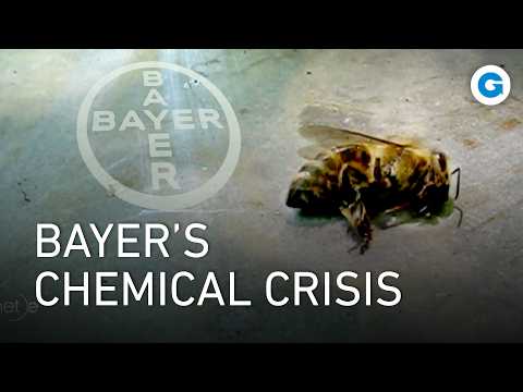 Campos silenciosos: el coste oculto de los productos químicos de Bayer | Documental completo documentary thumbnail