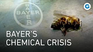 Silent Fields: The Hidden Cost of Bayer’s Chemicals | Full Documentary
