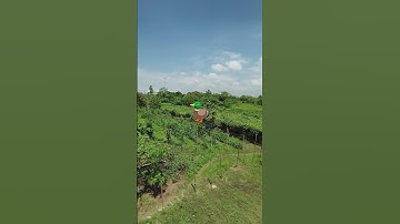 Can you comment how many ducks have he printed? Oh.. men you backward the video🤣#cttoofaudio#shorts