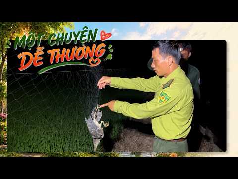 Chung tay bảo vệ “lá phổi xanh” vùng Đồng Tháp Mười | VTV10 - KẾT NỐI MIỀN TÂY