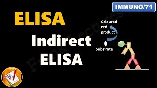 Indirect ELISA (FL-Immuno/71)