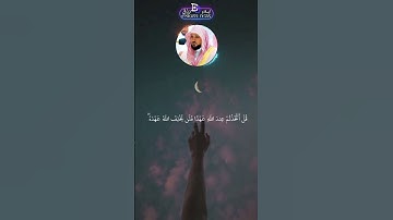 🤲 اللهم ارزق كل مشتاق الذرية الصالحة،  #القران_الكريم #تلاوات #هزاع_البلوشي