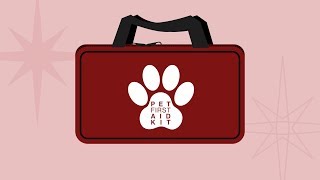 Pet First Aid Kit