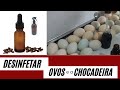 Desinfetando os OVOS  e a CHOCADEIRA com PRODUTO NATURAL